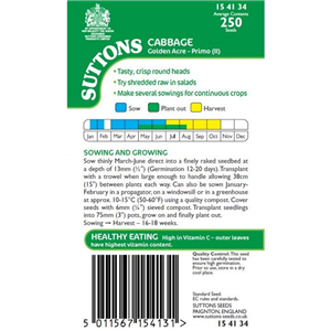 Cabbage Golden Acre Primo (11)